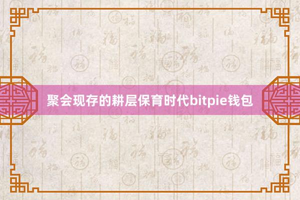 聚会现存的耕层保育时代bitpie钱包