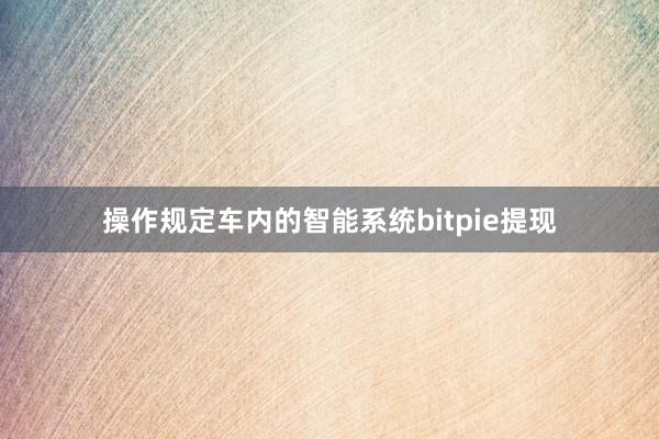 操作规定车内的智能系统bitpie提现