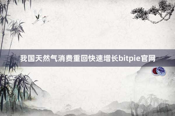 我国天然气消费重回快速增长bitpie官网