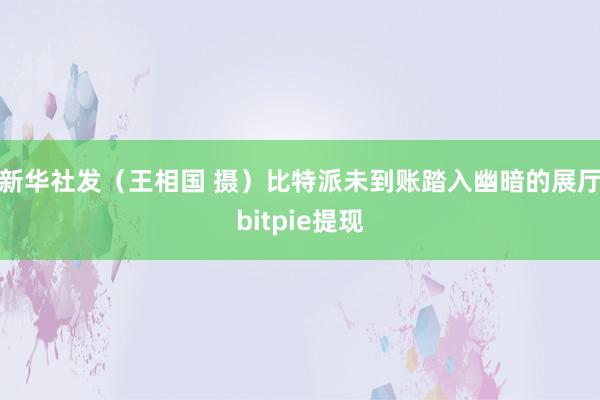 新华社发（王相国 摄）比特派未到账踏入幽暗的展厅bitpie提现