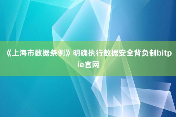 《上海市数据条例》明确执行数据安全背负制bitpie官网