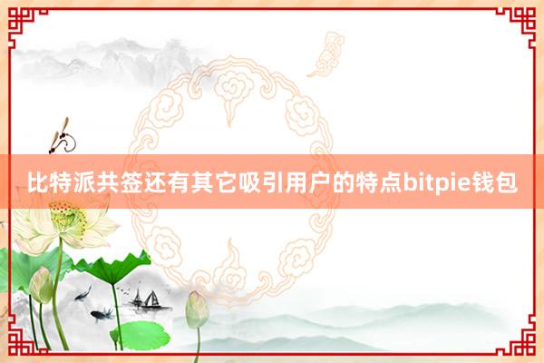 比特派共签还有其它吸引用户的特点bitpie钱包