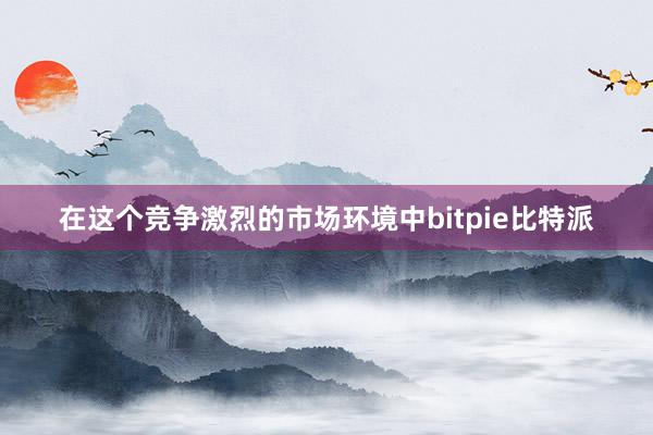 在这个竞争激烈的市场环境中bitpie比特派