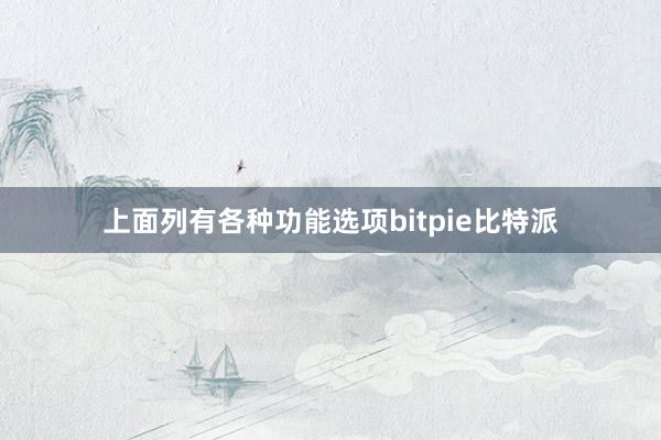 上面列有各种功能选项bitpie比特派