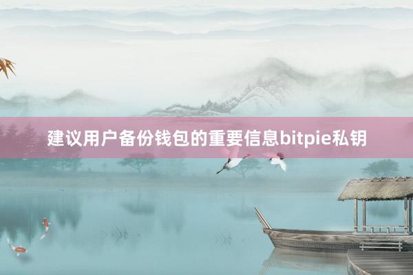 建议用户备份钱包的重要信息bitpie私钥