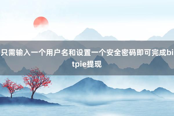 只需输入一个用户名和设置一个安全密码即可完成bitpie提现