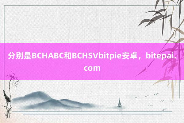 分别是BCHABC和BCHSVbitpie安卓，bitepai.com