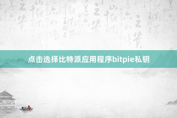 点击选择比特派应用程序bitpie私钥