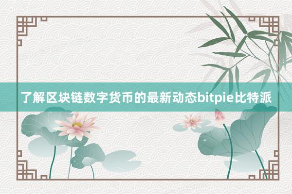 了解区块链数字货币的最新动态bitpie比特派