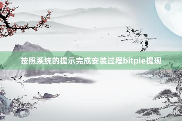 按照系统的提示完成安装过程bitpie提现