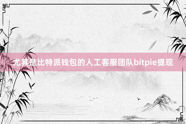 尤其是比特派钱包的人工客服团队bitpie提现