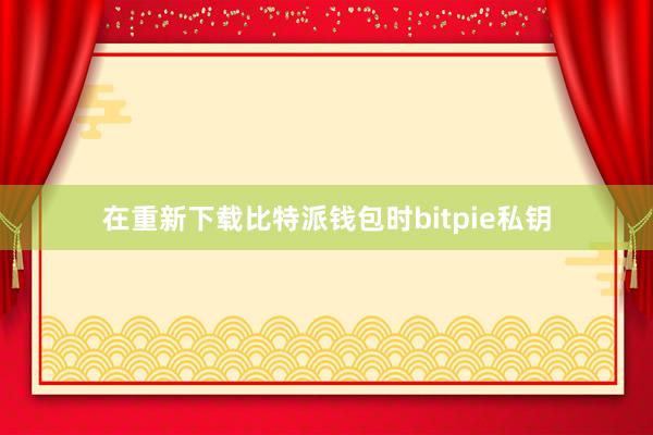 在重新下载比特派钱包时bitpie私钥