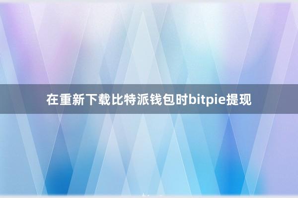 在重新下载比特派钱包时bitpie提现