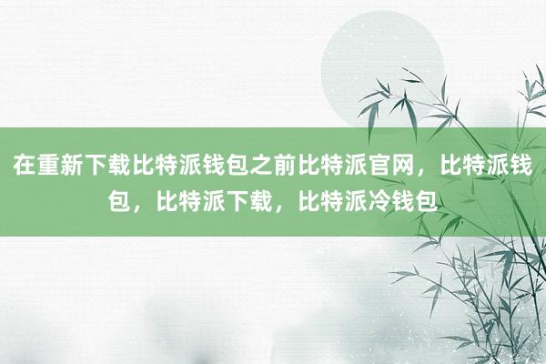 在重新下载比特派钱包之前比特派官网，比特派钱包，比特派下载，比特派冷钱包