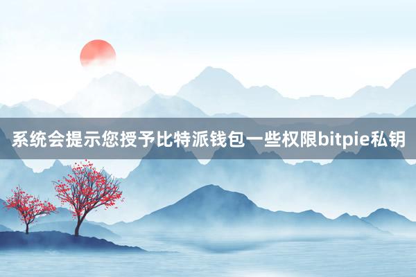 系统会提示您授予比特派钱包一些权限bitpie私钥