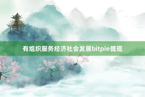 有组织服务经济社会发展bitpie提现