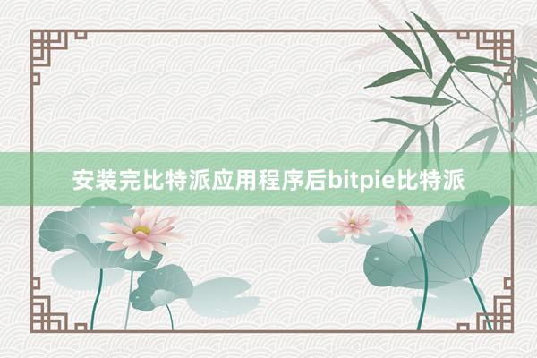 安装完比特派应用程序后bitpie比特派