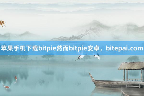 苹果手机下载bitpie然而bitpie安卓，bitepai.com