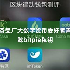 备受广大数字货币爱好者青睐bitpie私钥