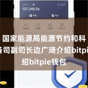 国家能源局能源节约和科技装备司副司长边广琦介绍bitpie钱包